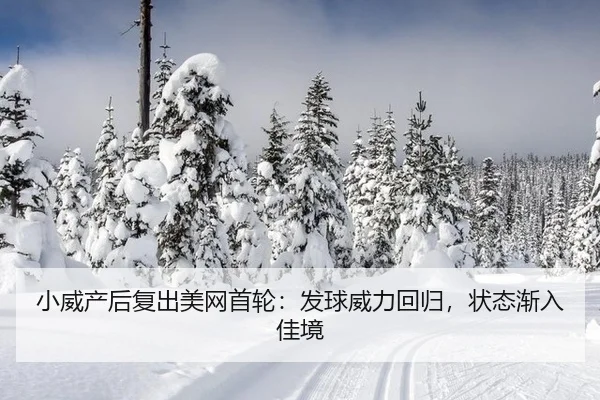 xiao-wei-chan-hou-fu-chu-mei-wang-shou-lun-fa-qiu-wei-li-hui-gui-zhuang-tai-jian-ru-jia-jing-3-625.jpg